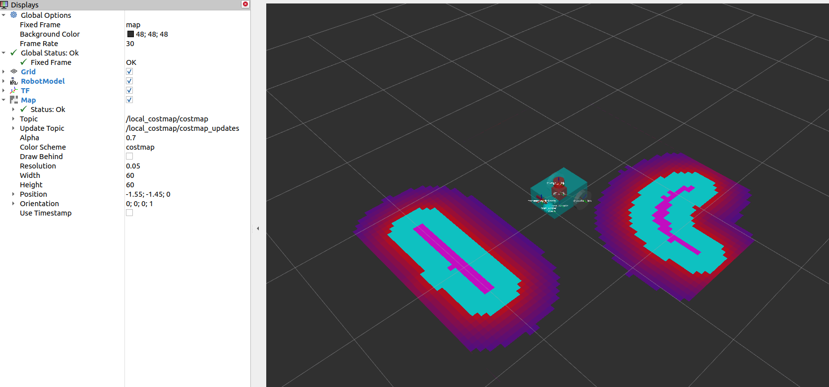 local_costmap_rviz