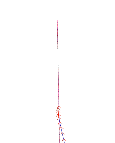 use_final_approach_orientation_false