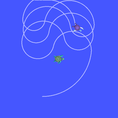 carrot dynamic
