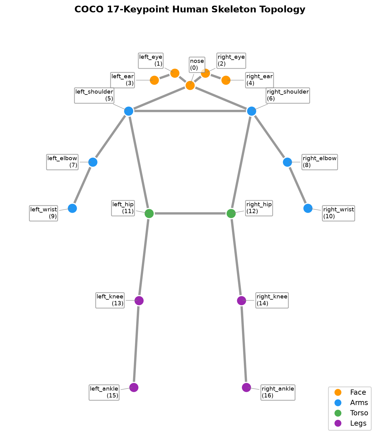 COCO 17-Keypoint Human Skeleton Topology