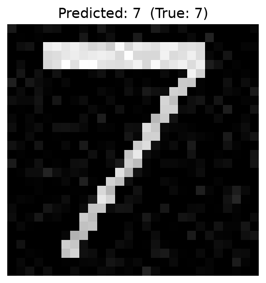 MNIST 推理可视化