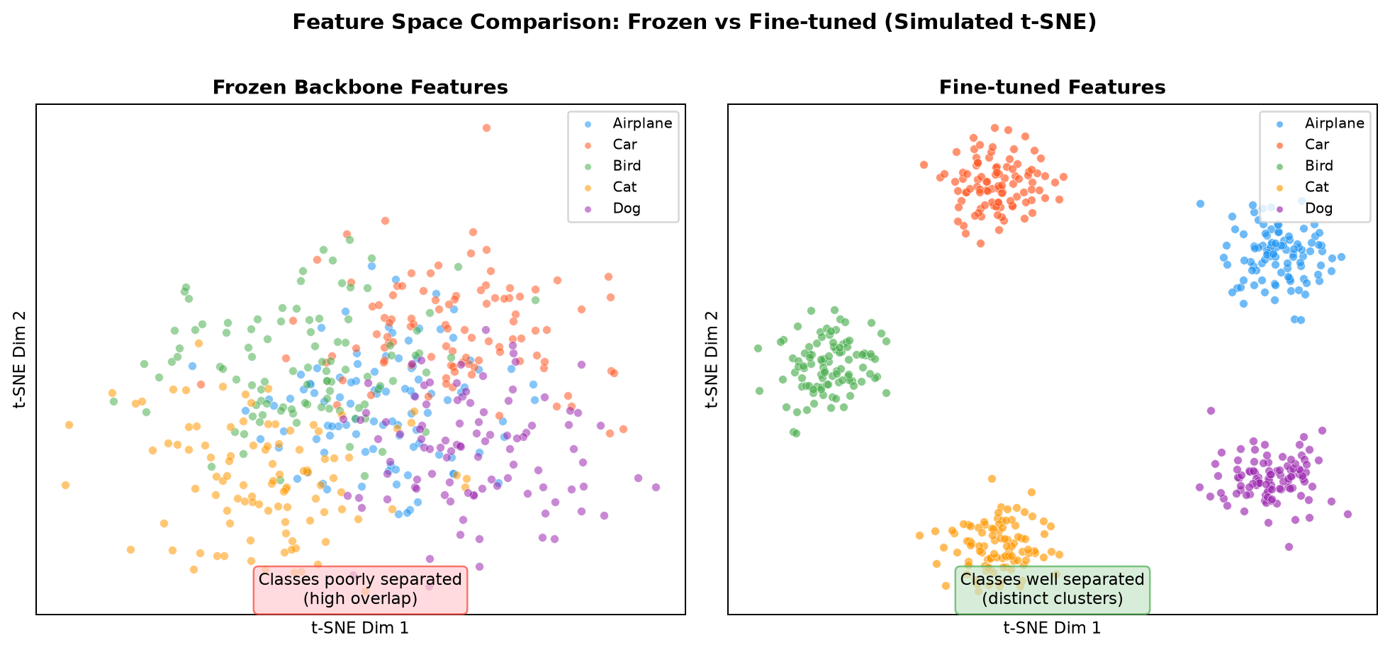 Feature Space Comparison: Frozen vs Fine-tuned